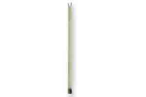 Curette à Crustacés