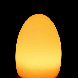 Lampe de Table Lumineuse